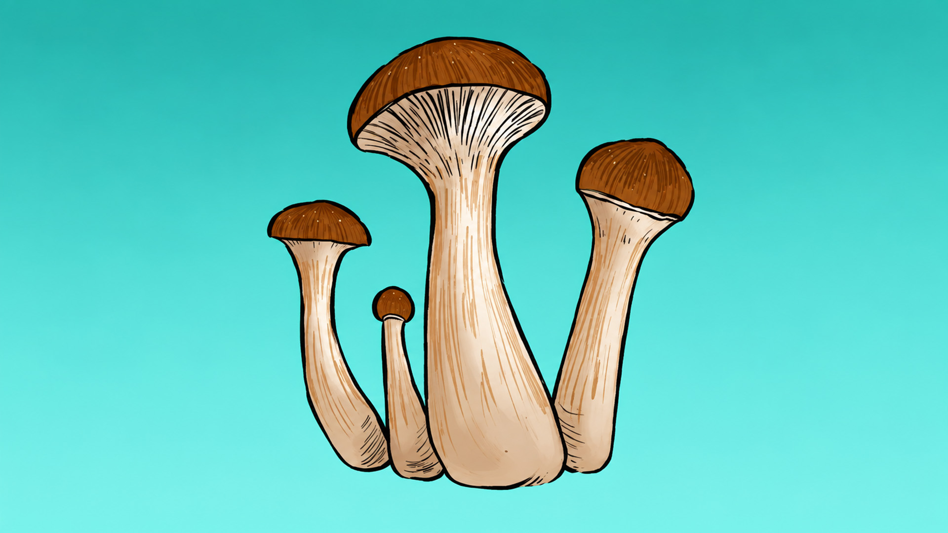 Growkit McKennaii Full Auto