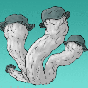 nutcracker growkit