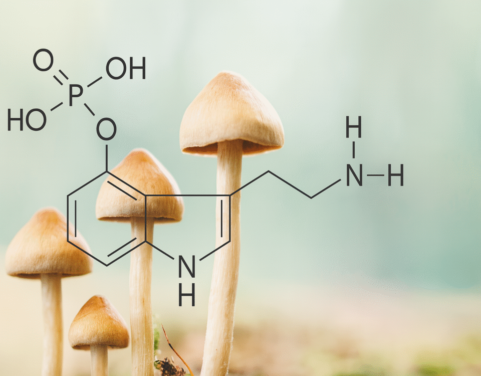 Norbaeocystyna – tajemniczy alkaloid w świecie grzybów psylocybinowych